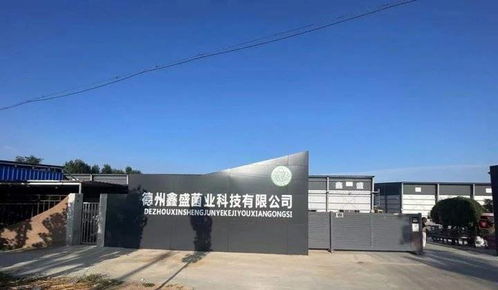 德州鑫盛鹿茸菇厂租赁10台ID.4 CROZZ业务用车 绿色智行，助力企业高效发展